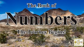 Numbers Chapter 5 A Woman And Adultery In Gods Law