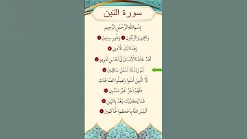 محمد الفقية   سورة التين