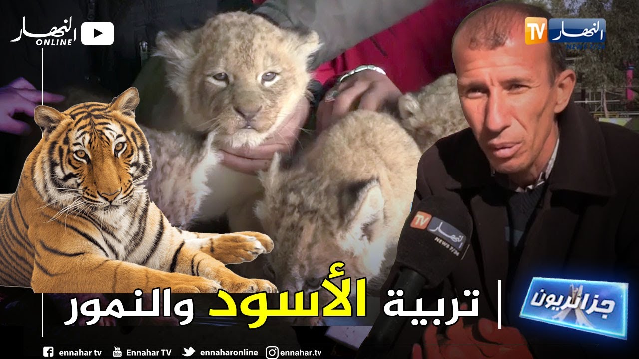 جزائريون: عبد الغاني..  شاب يهوى تربية الحيوانات المفترسة