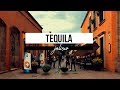 Tequila ︱Jalisco︱México @DeTrip