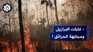 البرازيل.. الحرائق تلتهم 300 هكتارًا بغابات بونيتو