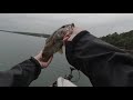 Smallmouth Bass Crushes a Topwater!