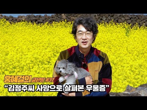   홍혜걸의 굳은땅 37 김정주씨 사망으로 살펴본 우울증