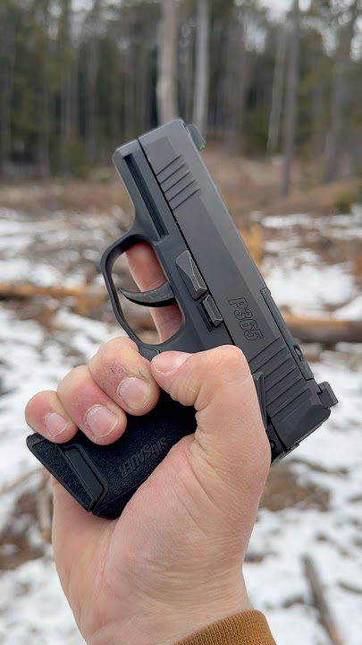 Sig Sauer P365