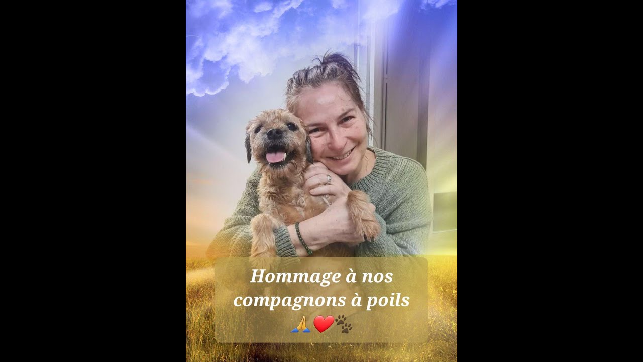 Hommage à Hélice, notre fils. Au revoir 🐾❤️😇