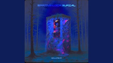 Embrace the joy of chaos