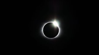 Eclipse Shenanigans #michigan #2024 #nature