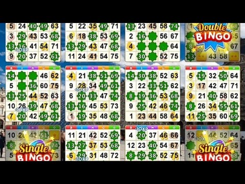 Bingo Holiday - How To Reach Level 50 (Free&Legit), 12 Cards!