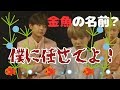 【日本語字幕】テヒョンの金魚の名前は×××!?(BTS/防弾少年団)