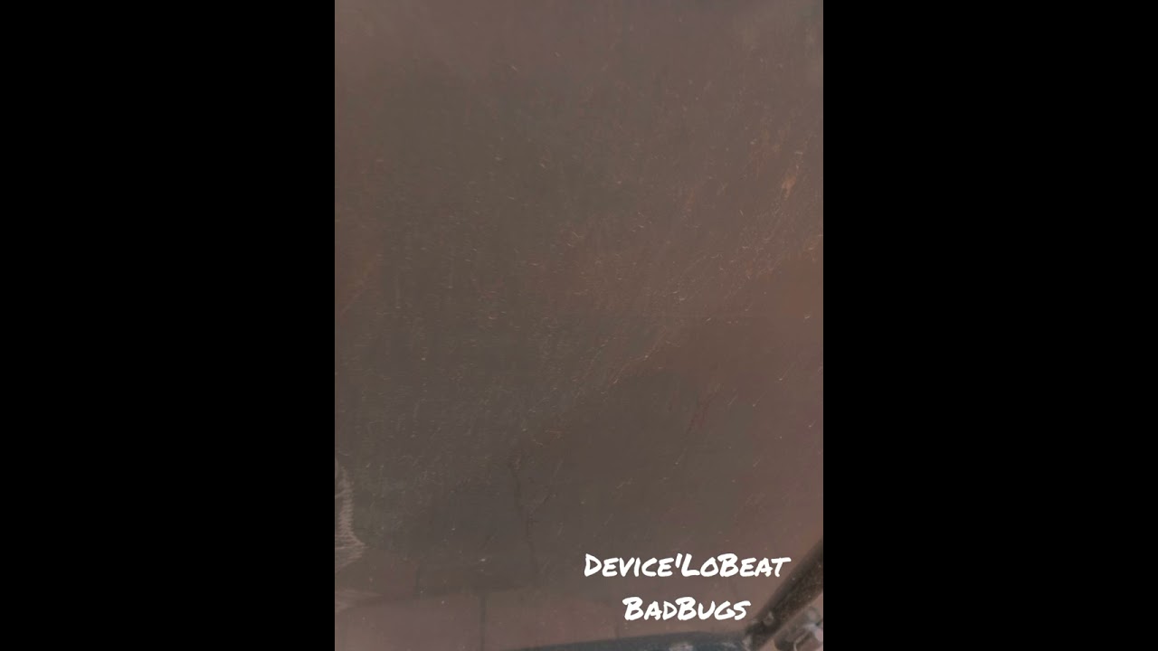 Sofy_** ( Device'LoBeat ) BadBugs