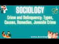 Juvenile Crime and Delinquency Concepts