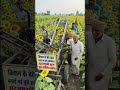 किसान के बेटे का गजब जुगाड़: ऑटोमैटिक सूरजमुखी हार्वेस्टिंग मशीन! 🌻🚜