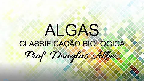 Como são classificadas as algas?