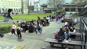 MSc Bioengineering Programme Overview and General Stream