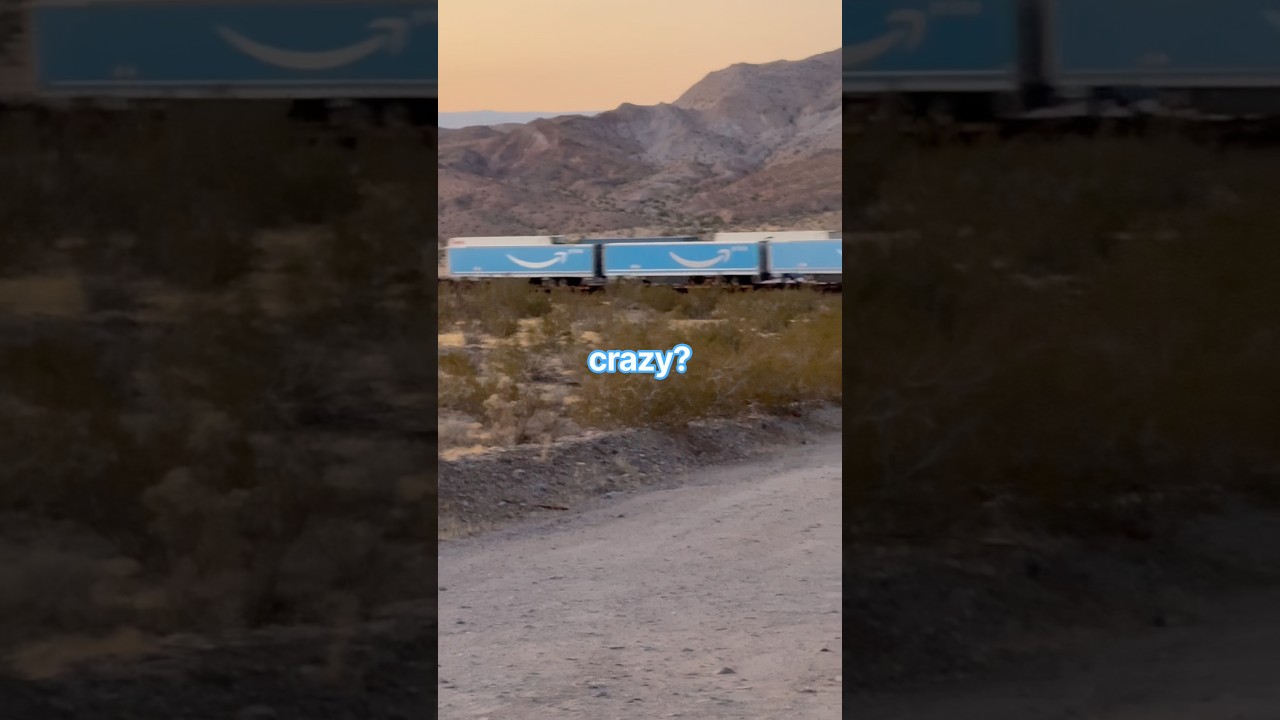 We Found All the Amazon Cruise Gear You Ordered! #amazon #bnsf #cruiselife #mailorder #meme #notmsc