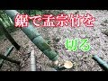 #90【竹林整理】鋸で竹(孟宗竹)の伐採 の動画、YouTube動画。