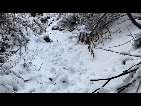 Wasatch Trails: Neff’s Canyon Trail part seven