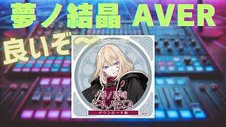【夢ノ結唱 AVER】今年の初売りゲット品はコレでした!感想や思うところも