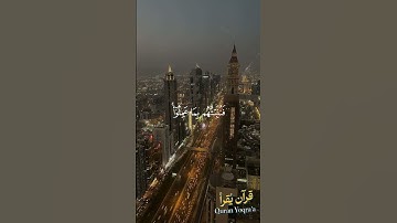 ومن كفر فلا يحزنك كفره #سورة_لقمان #القرآن_الكريم #فارس_عباد #اكسبلور #راحة_نفسية #لايك #تلاوة_خاشعة