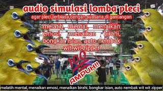 Audio simulasi gantangan pleci | untuk menguatkan mental, agar terbiasa berada di tempat ramai