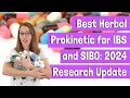 Best herbal prokinetic for ibs and sibo 2024 research update