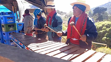 Marimba San Sebastián H/ Todos Santos Cuchumatan 2023