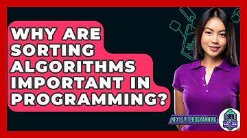 Why Are Sorting Algorithms Important In Programming? - Next LVL Programming