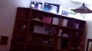Control4 test
