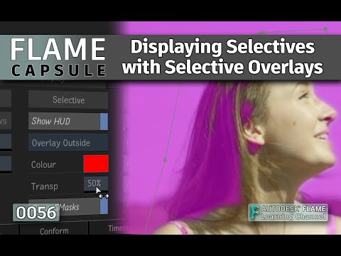 Flame Capsule 056 - Displaying Selectives with Selective Overlays - Flame 2022.3