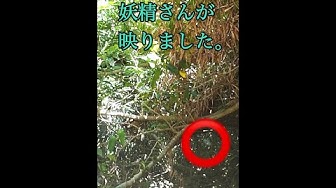 妖精 Youtube