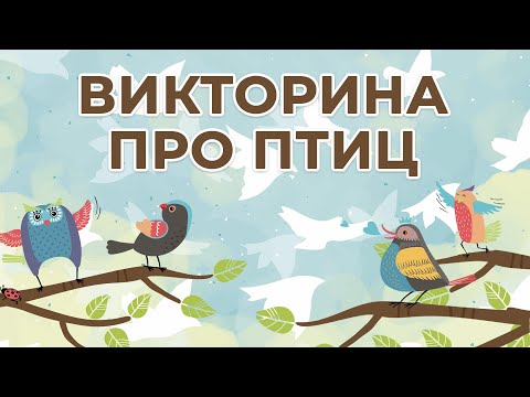 Викторина про птиц для детей