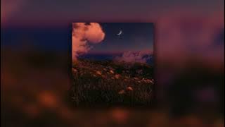 Perspective - Cafuné (Slowed   Reverb)