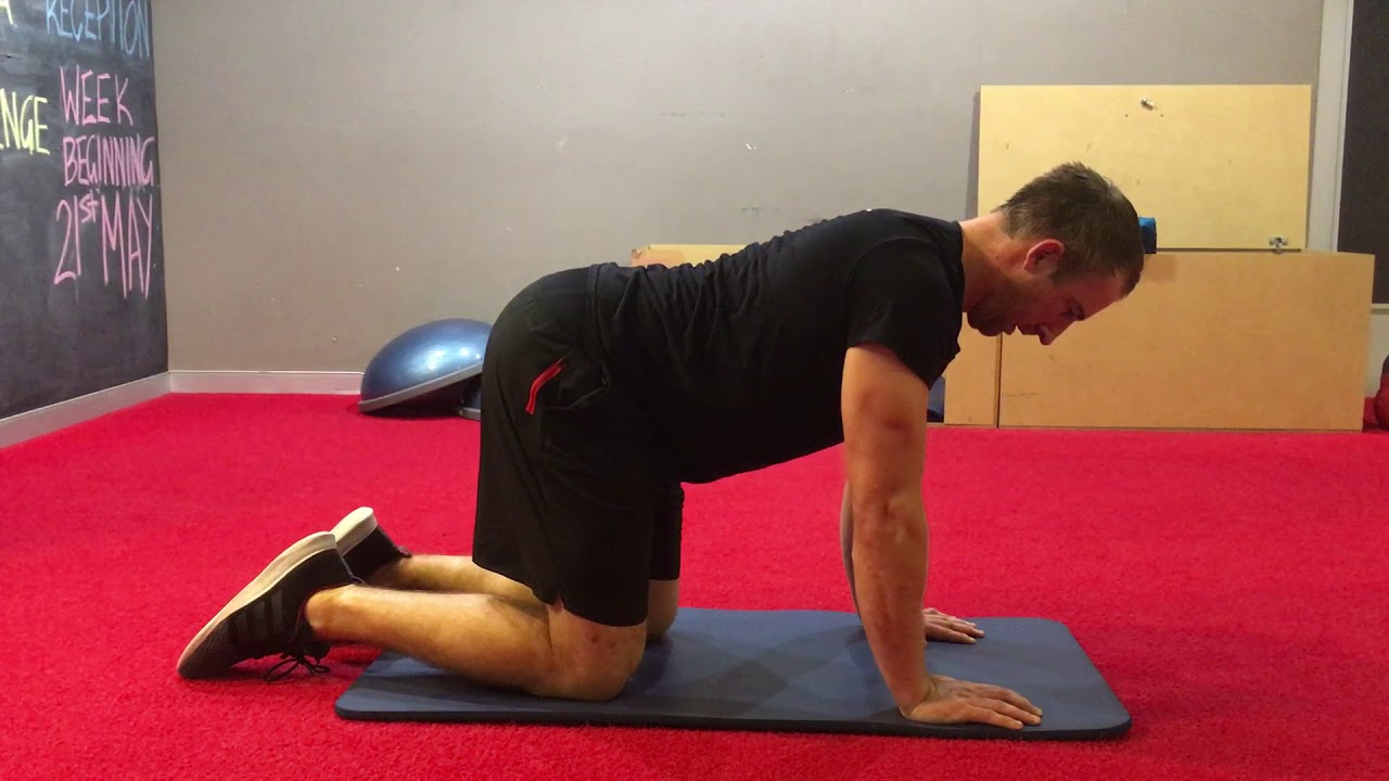 Thoracic Cat Cow - YouTube