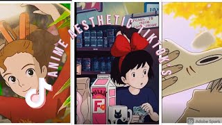 ANIME AESTHETIC TIKTOK&#39;S