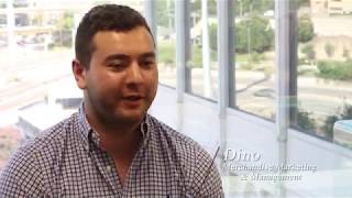Wade Stories: Dino, Merchandise Marketing & Management