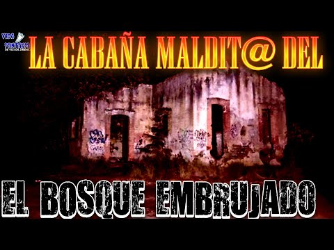 LA CABAÑA DEL BOSQUE (EL REGRESO)😱😱