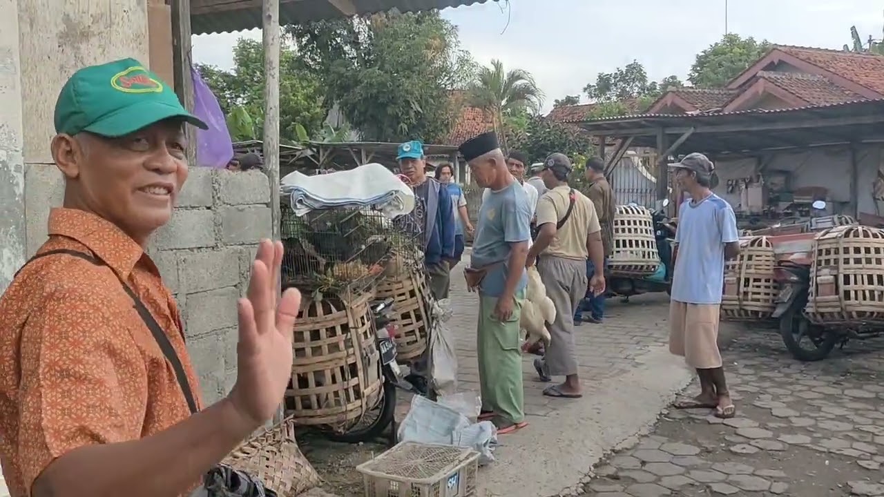 MAIN KE PASAR KEWAN KUTOARJO MALAH KEPINCUT CEWE CANTIK (BEBEK CANTIK) 😂