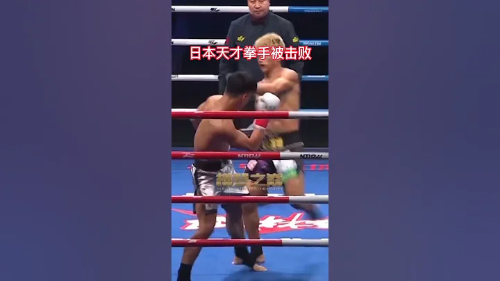 日本天才拳手被无情击败 - 天天要闻