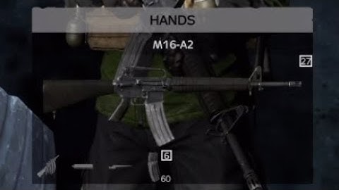 DayZ M16-A2