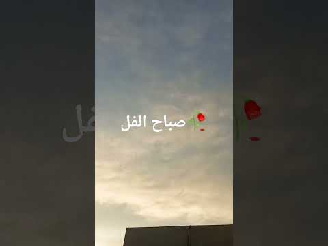 صباح الورد فقت بكير لصلي الفجر وصور هالجمال سبحان الخالق العظيم 