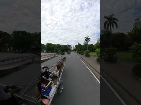 Thumbnail for 50-Second Time-Lapse Horse Carriage Ride at Luneta Park | 360 VR Short | Insta360 X4
