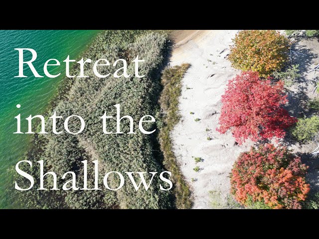 Retreat into the Shallows | A Journey of Color and Calm 🌊✨ [No Talking]