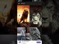 تطبييييق خرافي جديد لتحميل خلفيات رائعة للهاتف تطبييييق خرافي جديد لتحميل خلفيات رائعة للهاتف