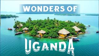 Unique Facts About Uganda That Will Change Your Perspective 🌍