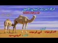 دحية خداش ناار القهوة و الفناجيلي امين ابو رويضة و احمد ابو رويضة 2017 فرح عبدالله المصدر
