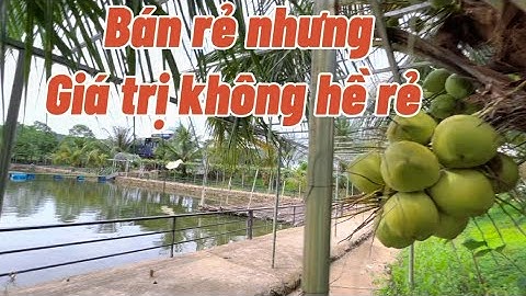 Giảm giá sốc! Mô hình nhà vườn ao cá giá rẻ rề, chỉ hơn 300 triệu/1 sào ở huyện Tân Phú