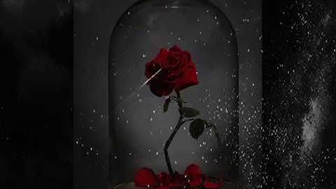 Anathema- Untouchable part 1 y 2 (subtitulada al castellano)