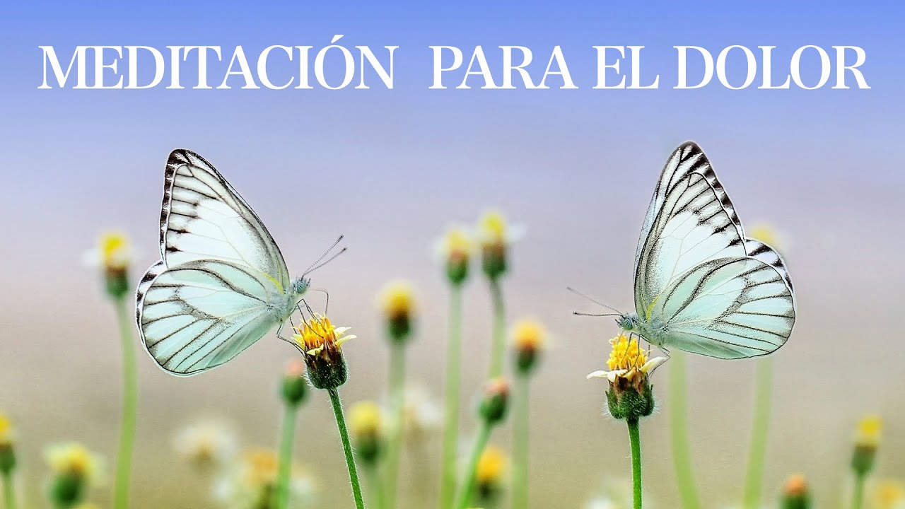 Meditación para Dolores: Espalda, Fibromialgia, Cabeza... Relajación y Distanciamiento
