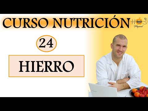 🔸CURSO DE NUTRICIÓN DEPORTIVA  -  PARTE 24 🔸 HIERRO
