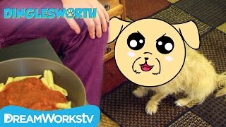 Doggy Lessons: How To Beg | DINGLESWORTH